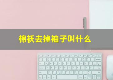 棉袄去掉袖子叫什么