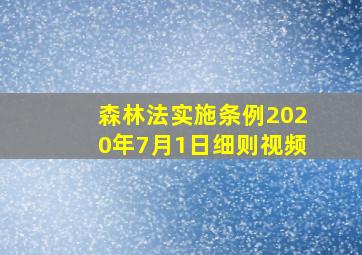 森林法实施条例2020年7月1日细则视频