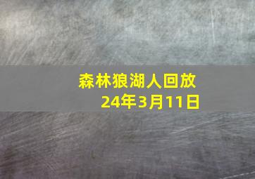 森林狼湖人回放24年3月11日