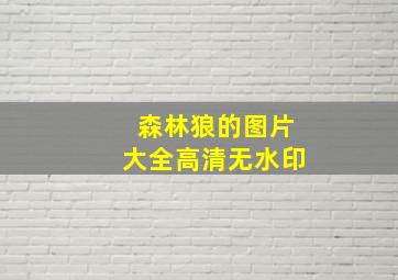 森林狼的图片大全高清无水印