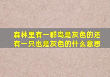 森林里有一群鸟是灰色的还有一只也是灰色的什么意思