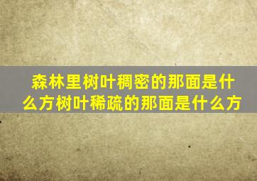 森林里树叶稠密的那面是什么方树叶稀疏的那面是什么方