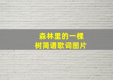 森林里的一棵树简谱歌词图片