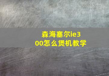 森海塞尔ie300怎么煲机教学