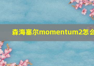 森海塞尔momentum2怎么用