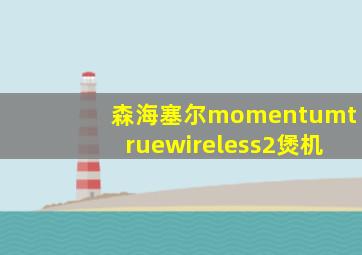 森海塞尔momentumtruewireless2煲机