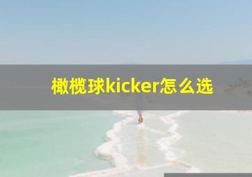 橄榄球kicker怎么选