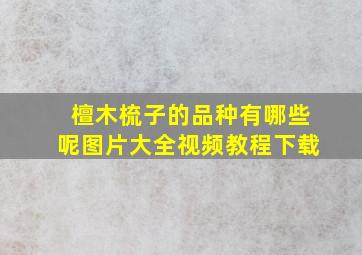 檀木梳子的品种有哪些呢图片大全视频教程下载