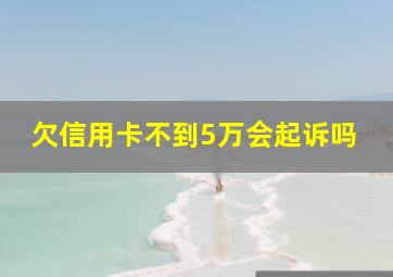 欠信用卡不到5万会起诉吗