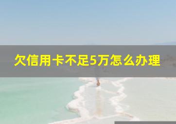 欠信用卡不足5万怎么办理