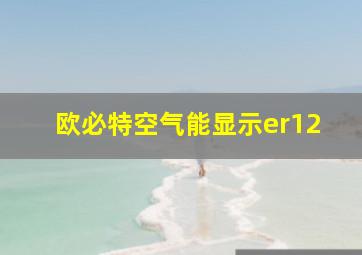 欧必特空气能显示er12