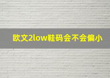 欧文2low鞋码会不会偏小