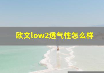 欧文low2透气性怎么样