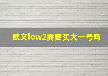 欧文low2需要买大一号吗