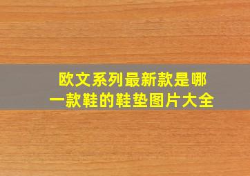 欧文系列最新款是哪一款鞋的鞋垫图片大全