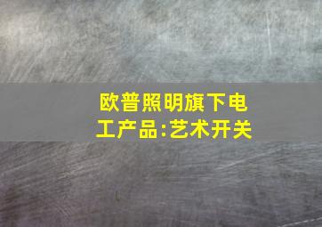 欧普照明旗下电工产品:艺术开关