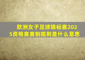 欧洲女子足球锦标赛2025资格赛赛制规则是什么意思