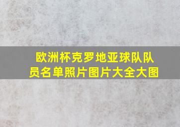 欧洲杯克罗地亚球队队员名单照片图片大全大图