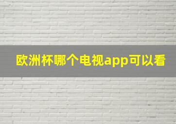 欧洲杯哪个电视app可以看