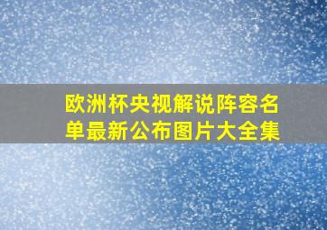 欧洲杯央视解说阵容名单最新公布图片大全集