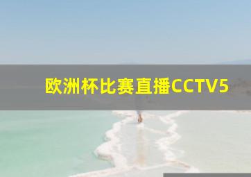 欧洲杯比赛直播CCTV5