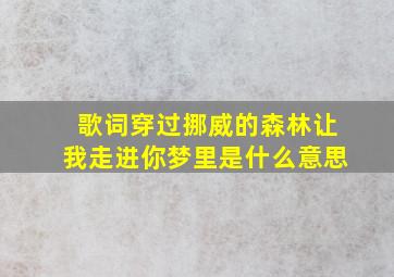 歌词穿过挪威的森林让我走进你梦里是什么意思