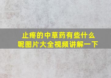 止疼的中草药有些什么呢图片大全视频讲解一下