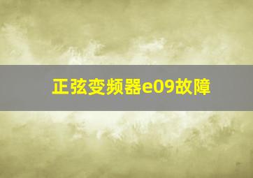 正弦变频器e09故障