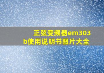 正弦变频器em303b使用说明书图片大全