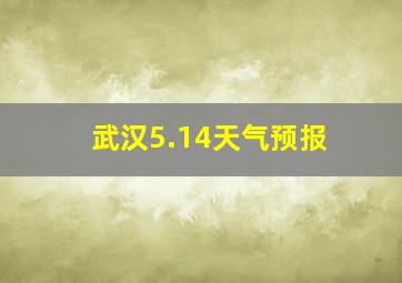 武汉5.14天气预报