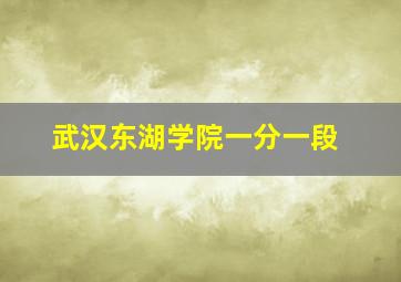 武汉东湖学院一分一段