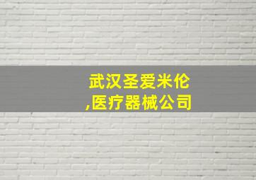 武汉圣爱米伦,医疗器械公司