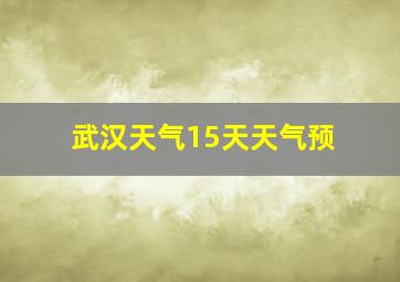 武汉天气15天天气预