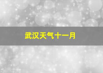 武汉天气十一月