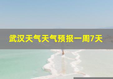 武汉天气天气预报一周7天