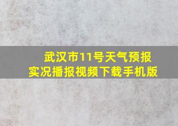 武汉市11号天气预报实况播报视频下载手机版