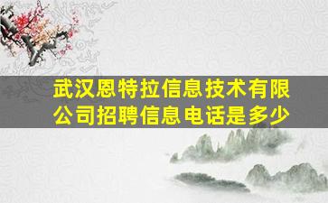 武汉恩特拉信息技术有限公司招聘信息电话是多少