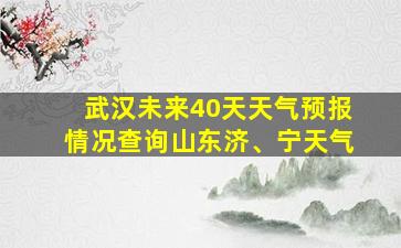 武汉未来40天天气预报情况查询山东济、宁天气