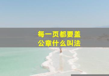 每一页都要盖公章什么叫法