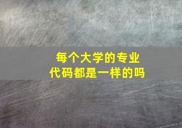 每个大学的专业代码都是一样的吗