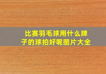 比赛羽毛球用什么牌子的球拍好呢图片大全