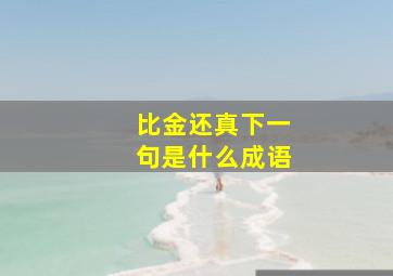 比金还真下一句是什么成语