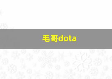 毛哥dota