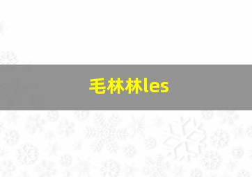 毛林林les