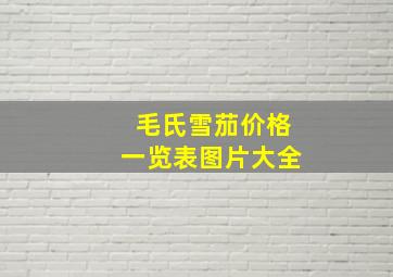 毛氏雪茄价格一览表图片大全