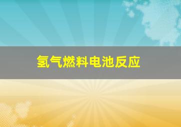 氢气燃料电池反应