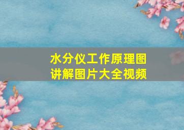 水分仪工作原理图讲解图片大全视频