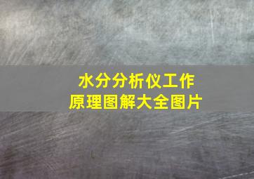 水分分析仪工作原理图解大全图片