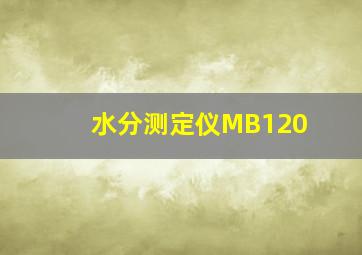 水分测定仪MB120