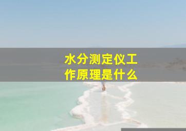 水分测定仪工作原理是什么